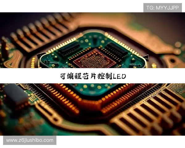 尊龙集团(Z6)对行业标准制定的影响和贡献分析