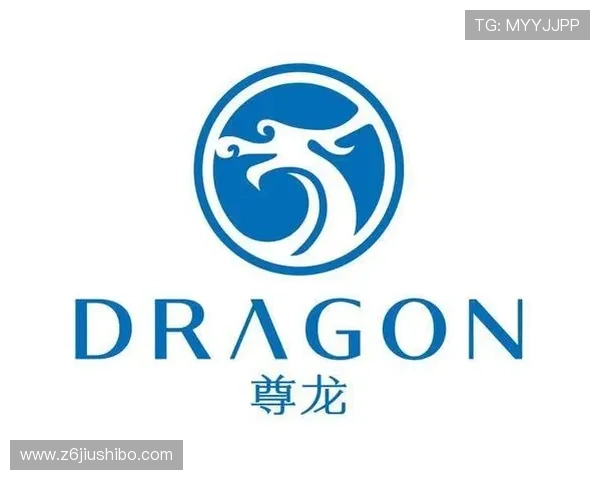 尊龙D88集团的品牌建设与市场推广策略对行业发展的积极影响分析